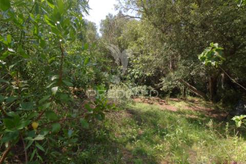 Refúgio no do alentejo – pronto a habitar
