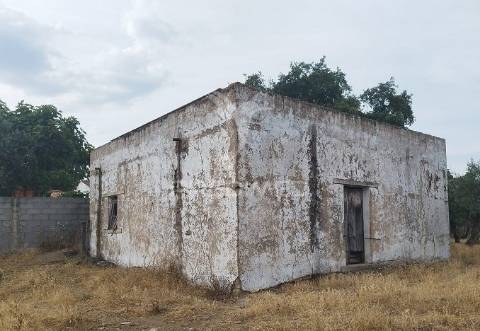 Terreno com casa antigo