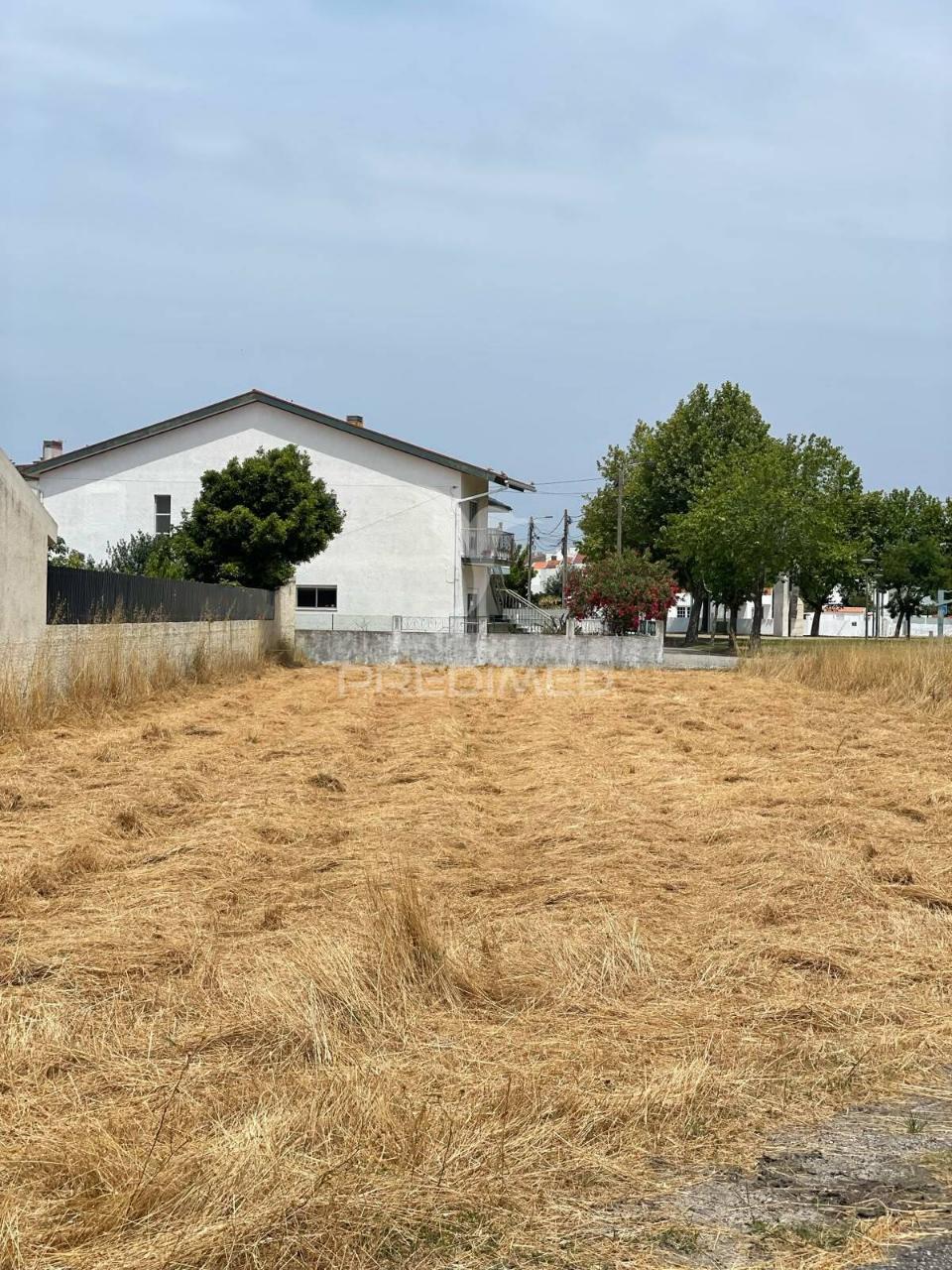 Terreno para construção na gafanha da nazaré – excelente localização e potencial de investimento