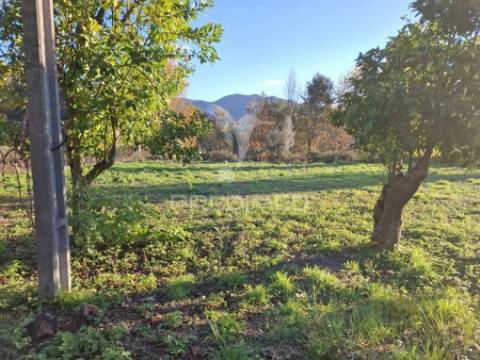 Moradia em pedra p/ restauro em valdreu, vila verde