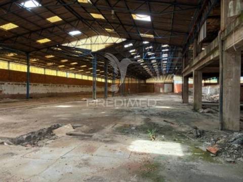 Armazém industrial com 11.765 m² -  côja, arganil