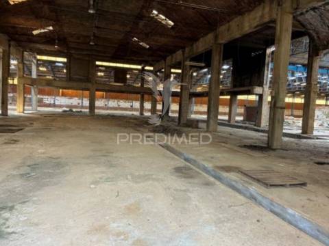 Armazém industrial com 11.765 m² -  côja, arganil