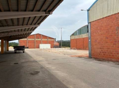 Armazém industrial com 11.765 m² -  côja, arganil