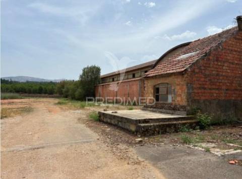 Armazém industrial com 11.765 m² -  côja, arganil