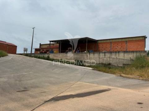 Armazém industrial com 11.765 m² -  côja, arganil