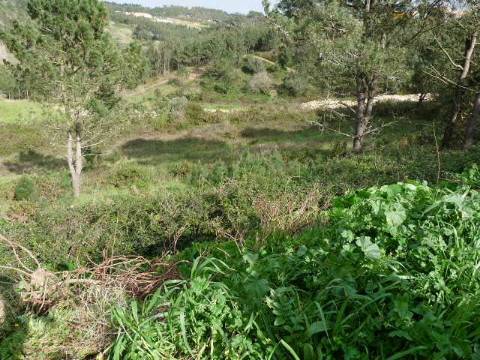 Terreno rústico na Ericeira