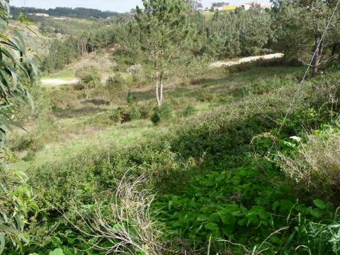 Terreno rústico na Ericeira