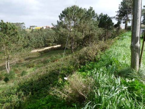 Terreno rústico na Ericeira