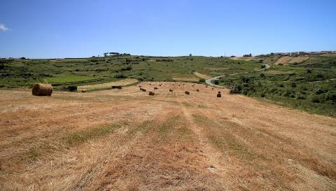 Terreno rústico em São João das Lampas
