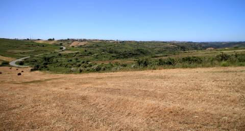 Terreno rústico em São João das Lampas