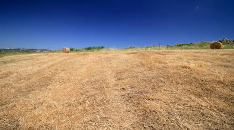Terreno rústico em São João das Lampas