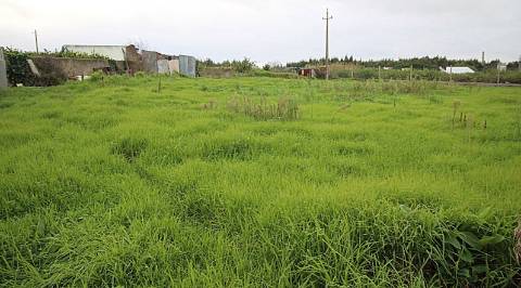 Terreno Urbano para construção de Moradias em banda.