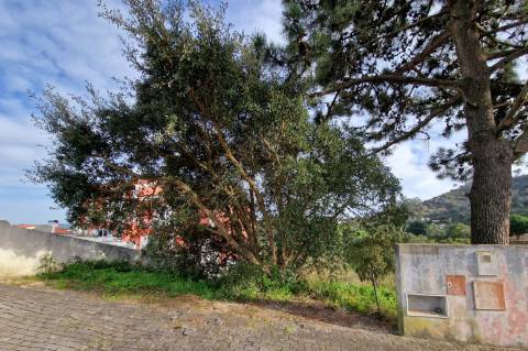 Terreno urbano no Gradil.