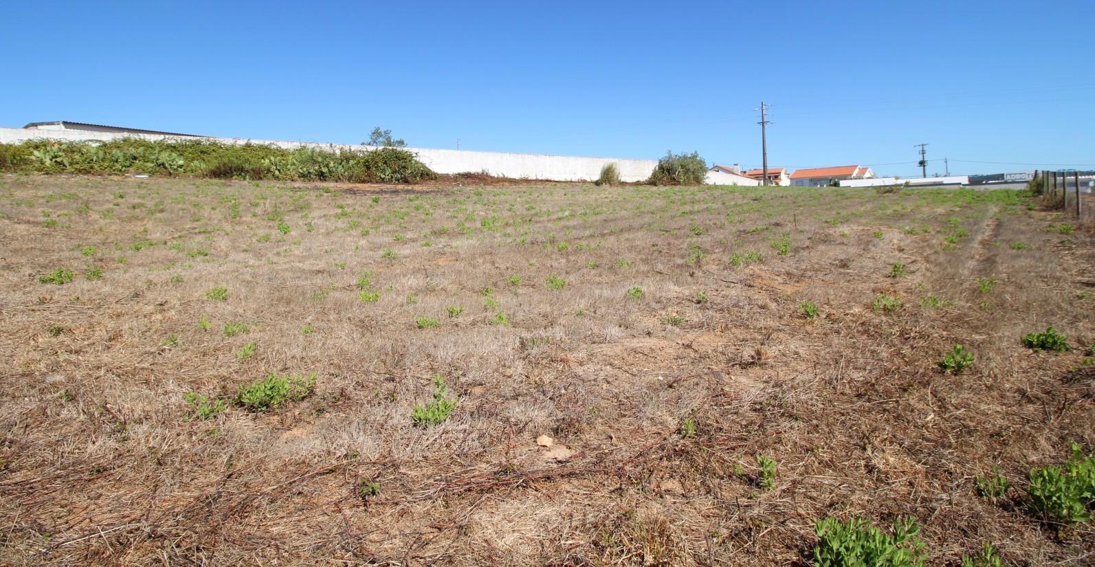 TERRENO na ZONA do SOBREIRO MAFRA