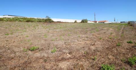 TERRENO na ZONA do SOBREIRO MAFRA