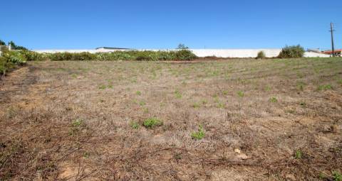 TERRENO na ZONA do SOBREIRO MAFRA