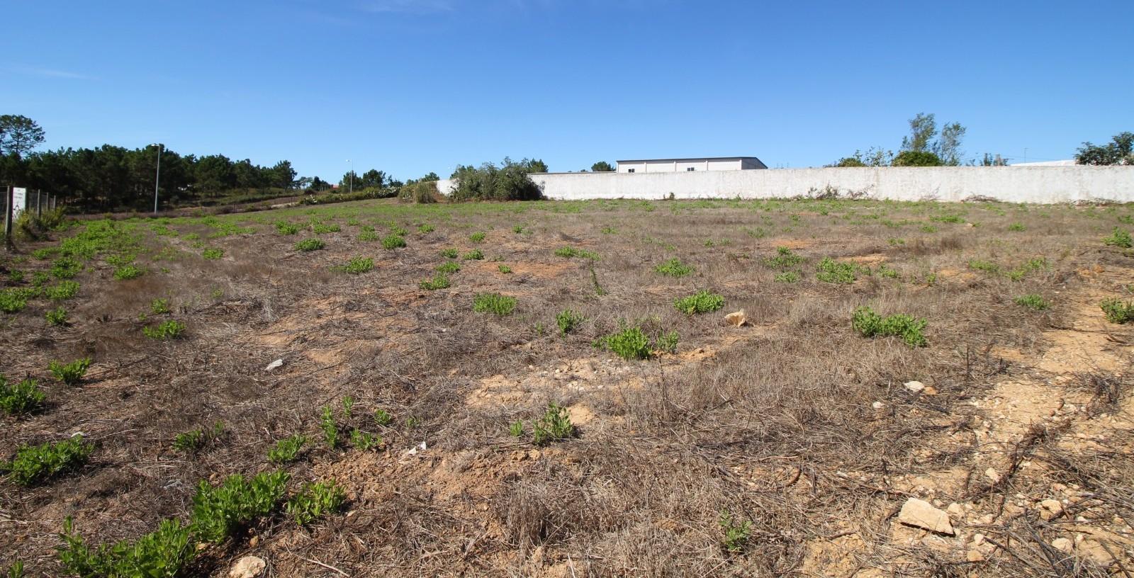 TERRENO na ZONA do SOBREIRO MAFRA
