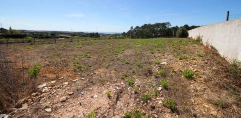 TERRENO na ZONA do SOBREIRO MAFRA