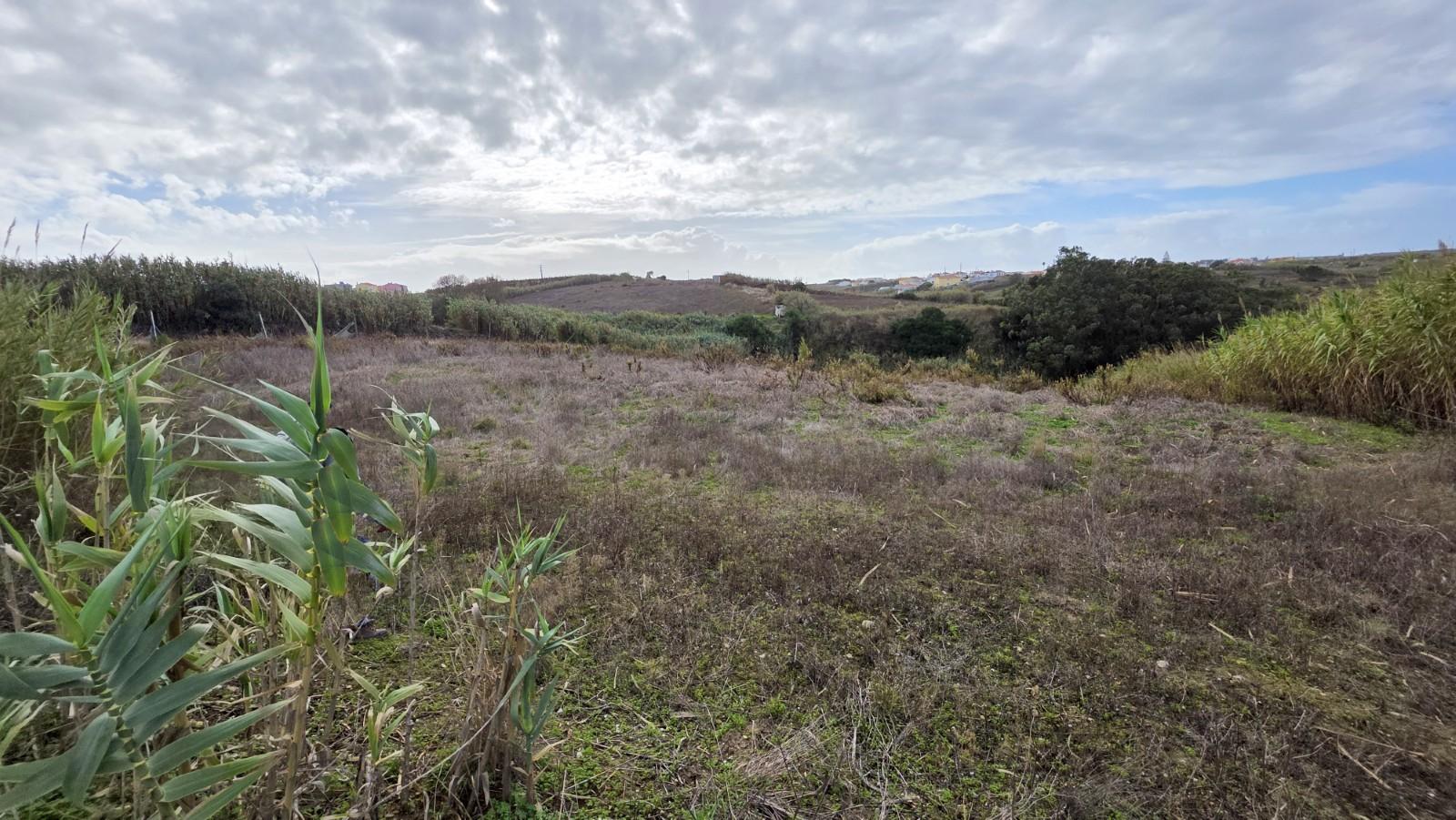 Terreno rústico com 6000m2, Barril, Encarnação.