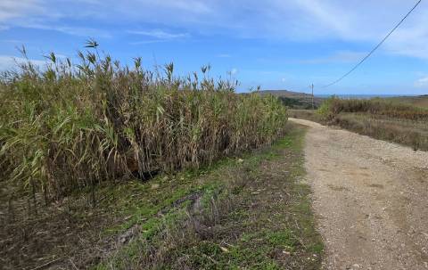 Terreno rústico com 6000m2, Barril, Encarnação.
