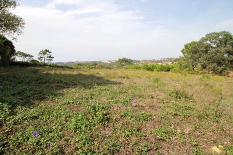 TERRENO RÚSTICO em MAFRA
