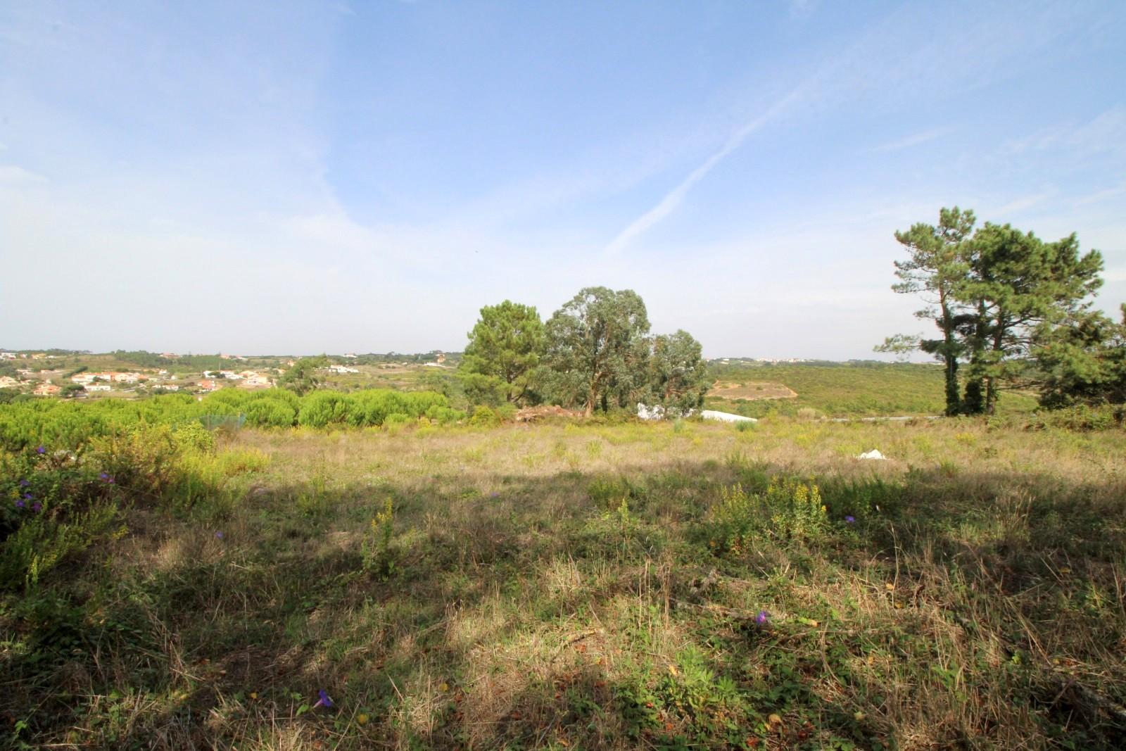 TERRENO RÚSTICO em MAFRA