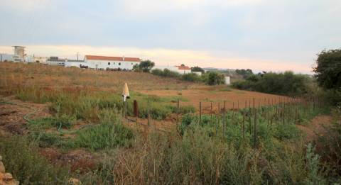 Terreno com 4.489 m2, localizado em Mafra