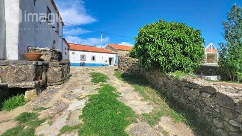 Quinta em Mafra inserida num terreno com 5,331m2.