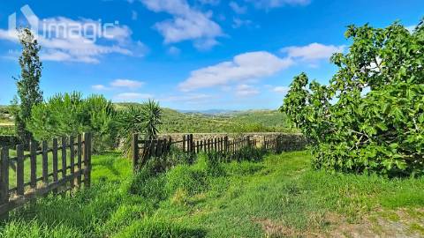 Quinta em Mafra inserida num terreno com 5,331m2.