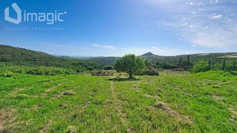 Quinta em Mafra inserida num terreno com 5,331m2.