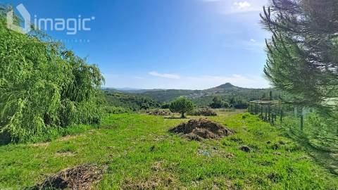 Moradia T5 Térrea, Rústica em Mafra inserida num terreno com 5,331m2.