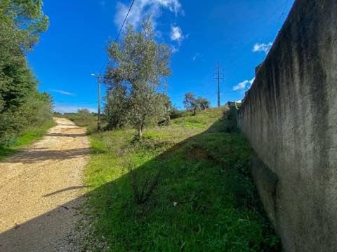 Terreno para construção em Palheira, Coimbra, para venda