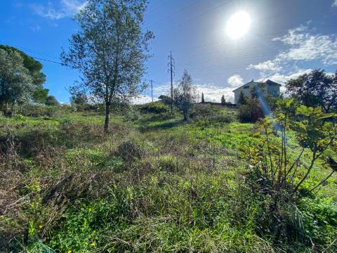 Terreno para construção em Palheira, Coimbra, para venda