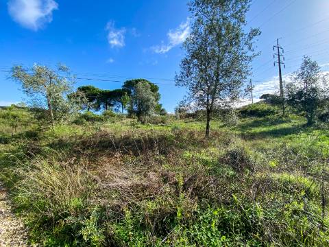 Terreno para construção em Palheira, Coimbra, para venda