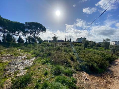 Terreno para construção em Palheira, Coimbra, para venda