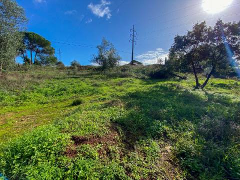 Terreno para construção em Palheira, Coimbra, para venda