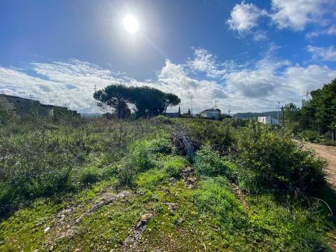 Terreno para construção em Palheira, Coimbra, para venda