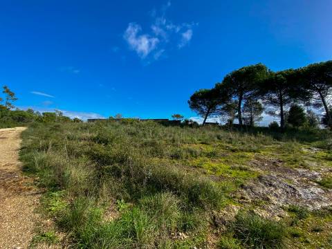 Terreno para construção em Palheira, Coimbra, para venda