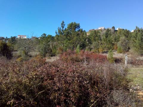 Terreno para venda, perto de Sta. Apolónia, Eiras, Coimbra.