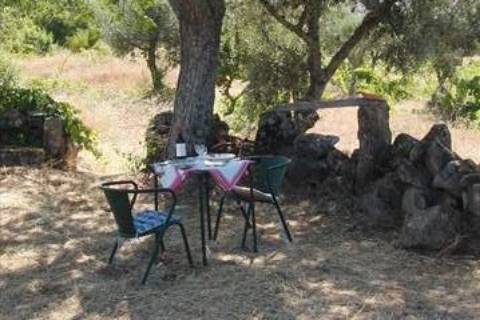 Casa de campo, junto a Monsanto, em zona calma.