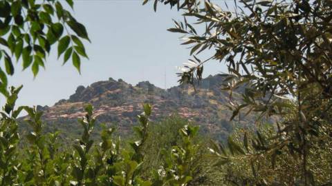 Casa de campo, junto a Monsanto, em zona calma.