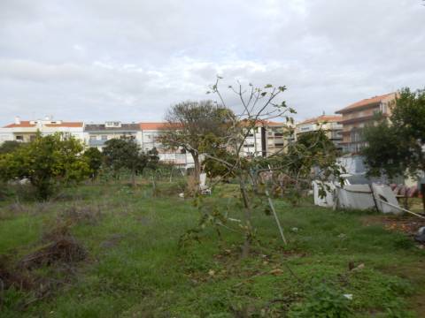 Terreno para loteamento