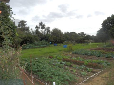 Terreno para loteamento