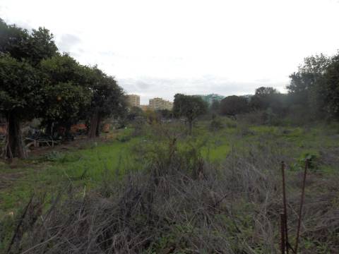 Terreno para loteamento