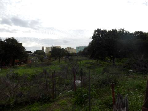 Terreno para loteamento