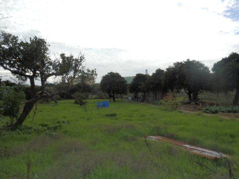 Terreno para loteamento