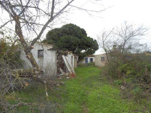 Terreno para loteamento