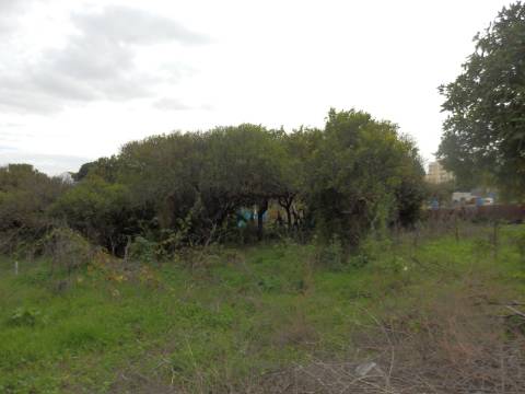 Terreno para loteamento