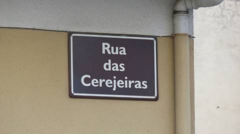 Terreno para Construção