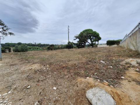 Terreno Urbano para Moradia Isolada